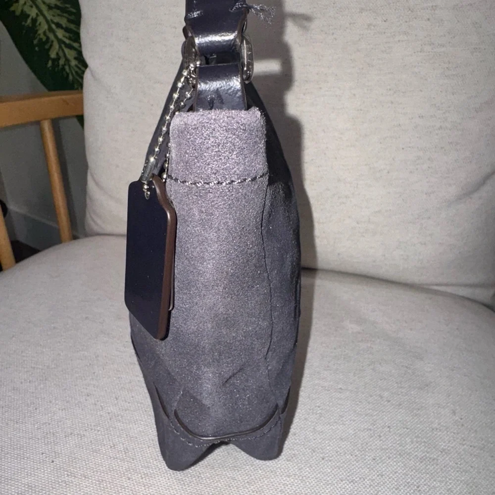 Coach Parkside Hobo Gray Shimmery Brushed Leather Shoulder Crossbody Bag #36897E